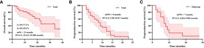 Real-world data of pyrotinib-based therapy for patients with brain metastases of HER2-positive advanced breast cancer: a single-center retrospective analysis and molecular portraits